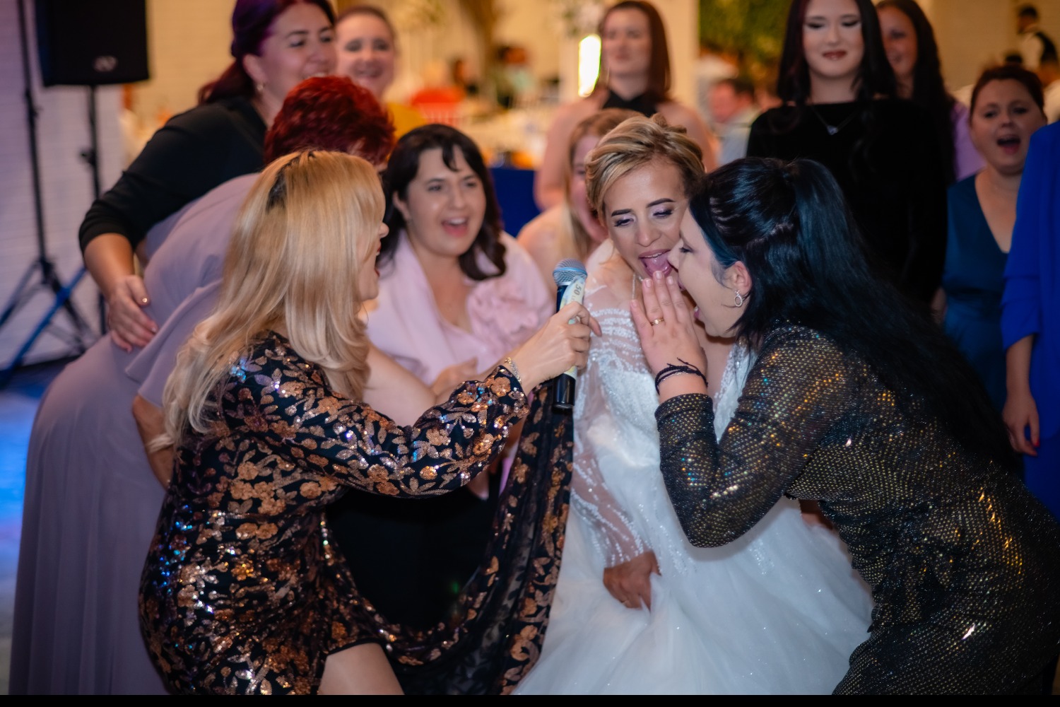 Nicoleta Ștefan & Formația - ȘteFan Events - Prahova muzica bucuresti