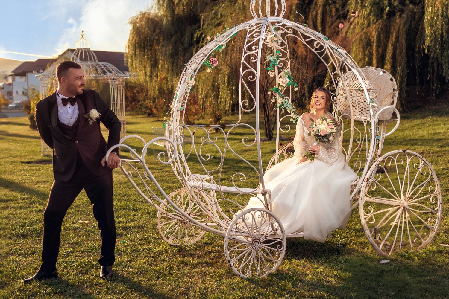 Mediapointphotography S. R. L fotografie gorj