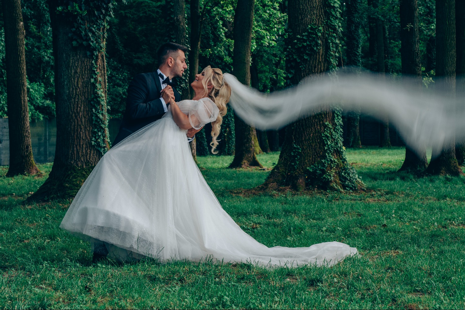 MIRAGE STUDIO S.R.L. fotografie timis