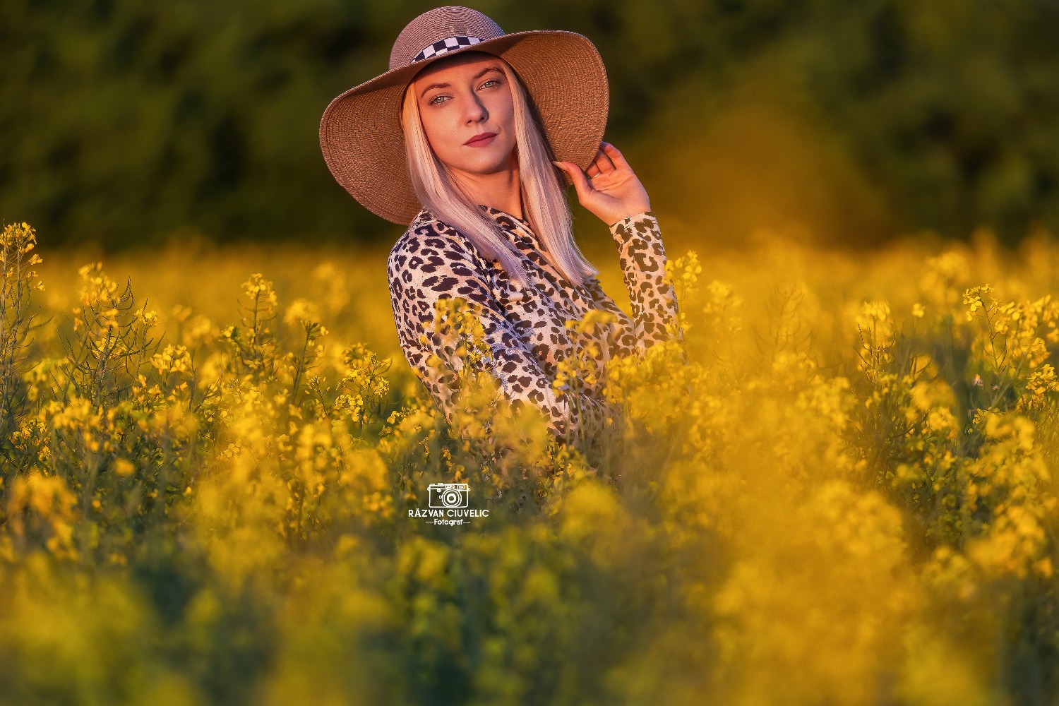 Razvan Ciuvelic PFA,Fotograf Autorizat fotografie timis