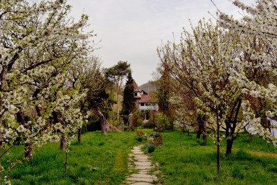 sc CASTELUL MARIA SRL - Locații Hunedoara