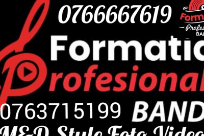 Formatia Profesional Band - Muzică Iasi