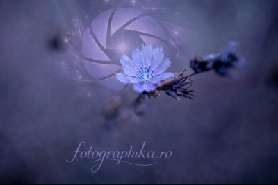 fotographika.ro - Videografie Bucuresti