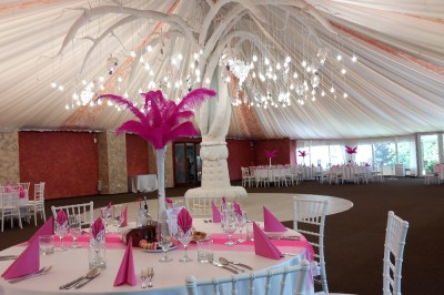 Cort de evenimente Paprika - Locații Cluj