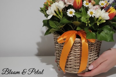 Bloom&Petal - Flori Arges