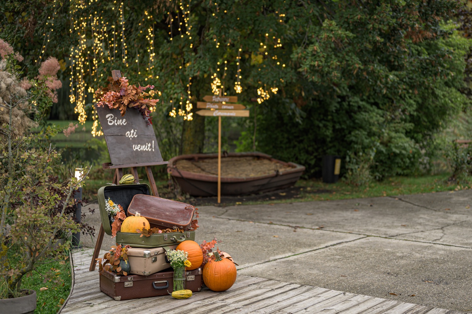 CREATIVE WIFE DESIGNS flori brasov