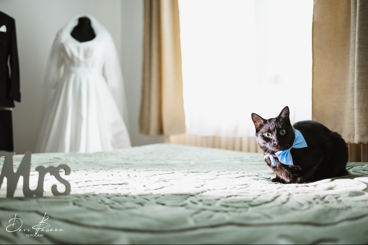 Davi Babanu Fotograf fotografie neamt