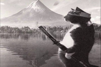 LA PUIU FARA PUI - Locații Giurgiu