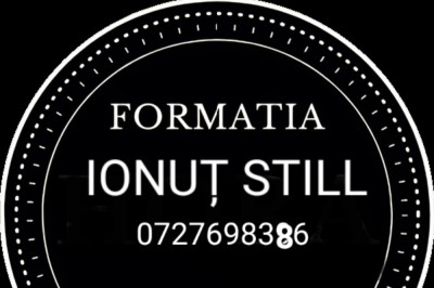 Formația Ionuț Still - Muzică Ialomita