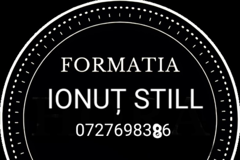 Formația Ionuț Still