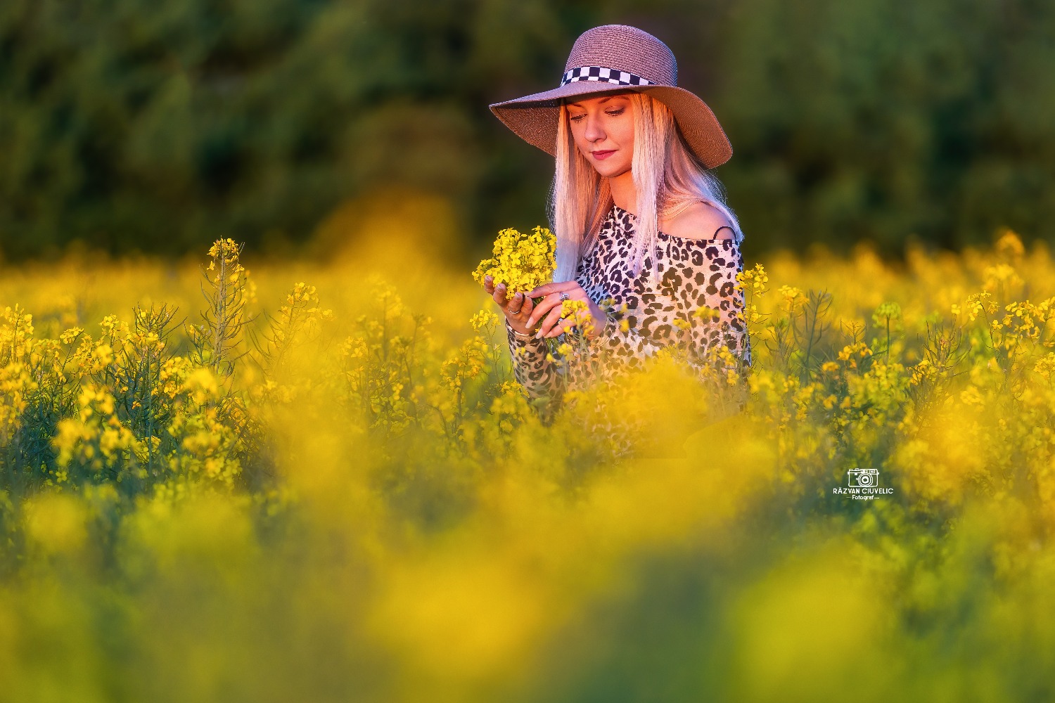 Razvan Ciuvelic PFA,Fotograf Autorizat fotografie timis