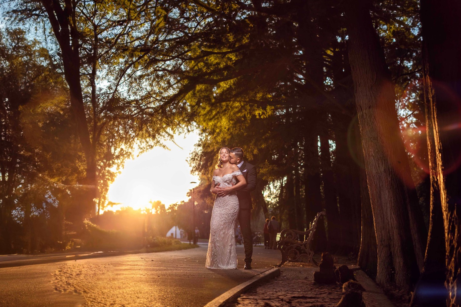 Mediapointphotography S. R. L fotografie gorj