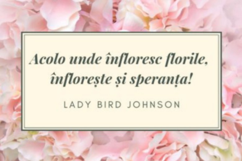Serruria Floral Concept SRL