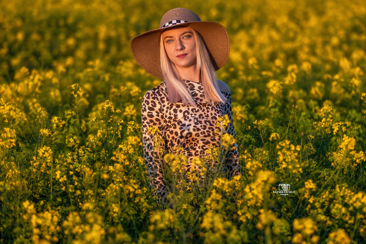 Razvan Ciuvelic PFA,Fotograf Autorizat fotografie timis