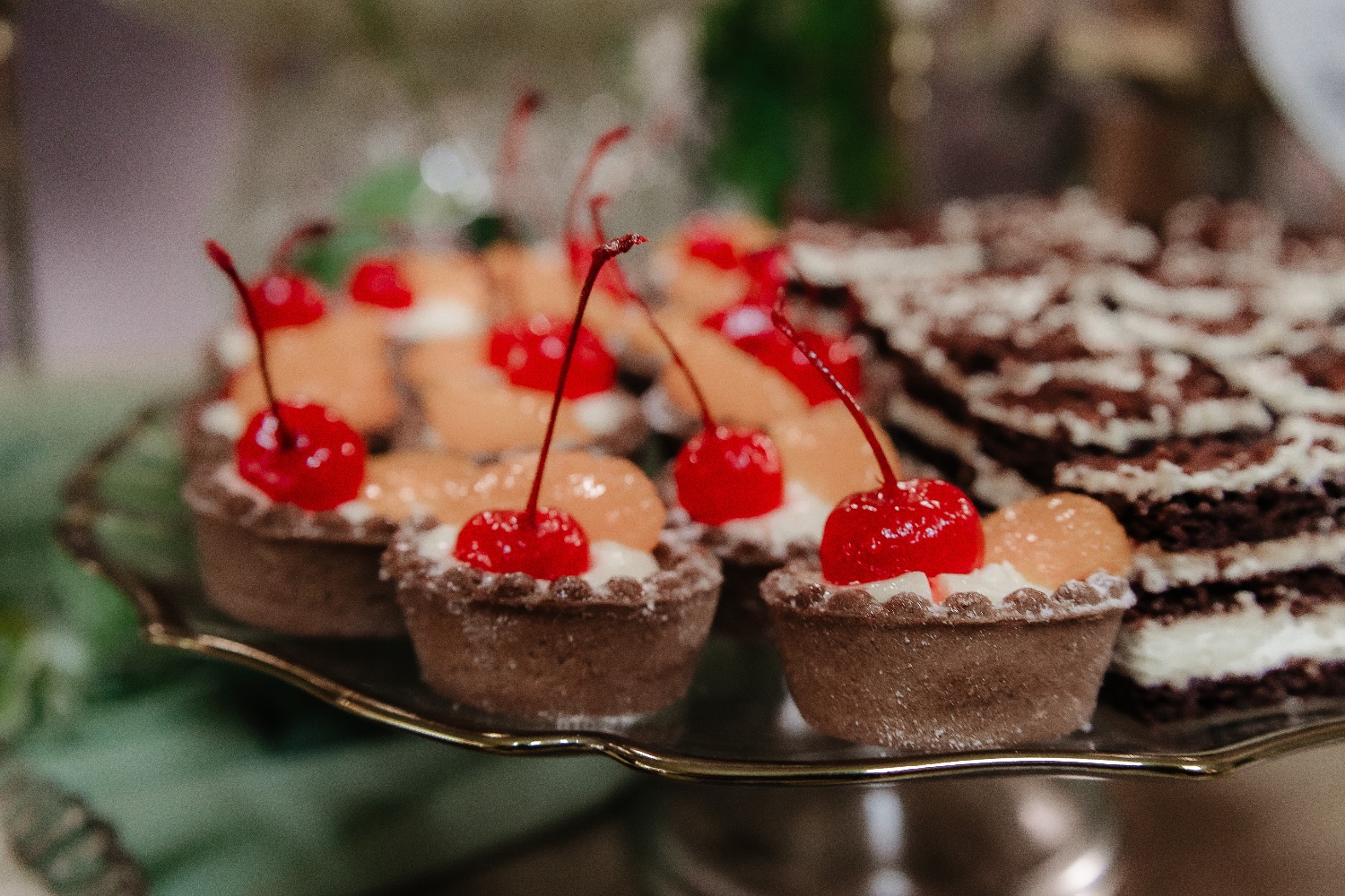 Nistor St. Gabriel PFA videografie suceava