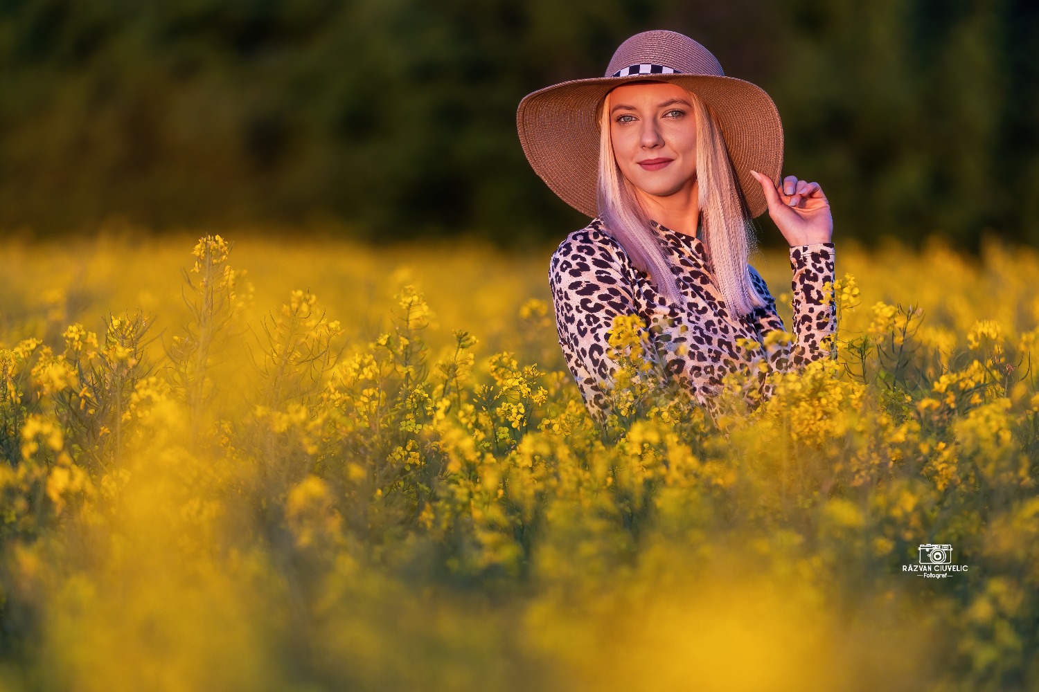 Razvan Ciuvelic PFA,Fotograf Autorizat fotografie timis