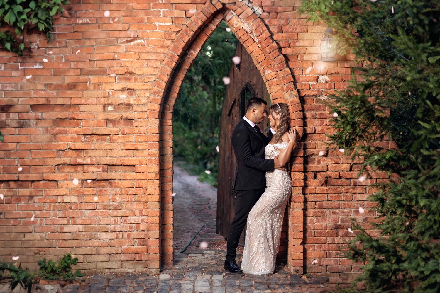 Mediapointphotography S. R. L fotografie gorj