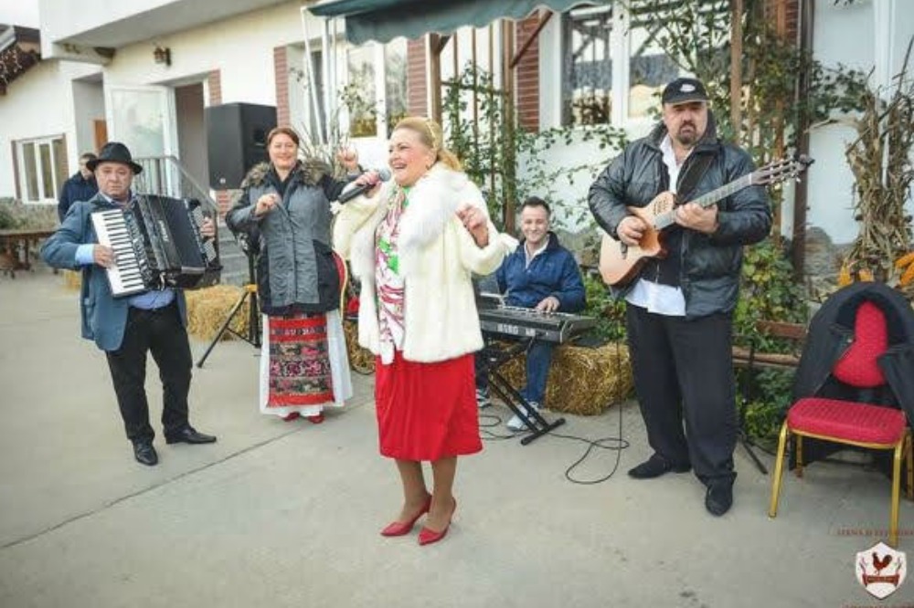 Nelu de la Ploiesti muzica bucuresti