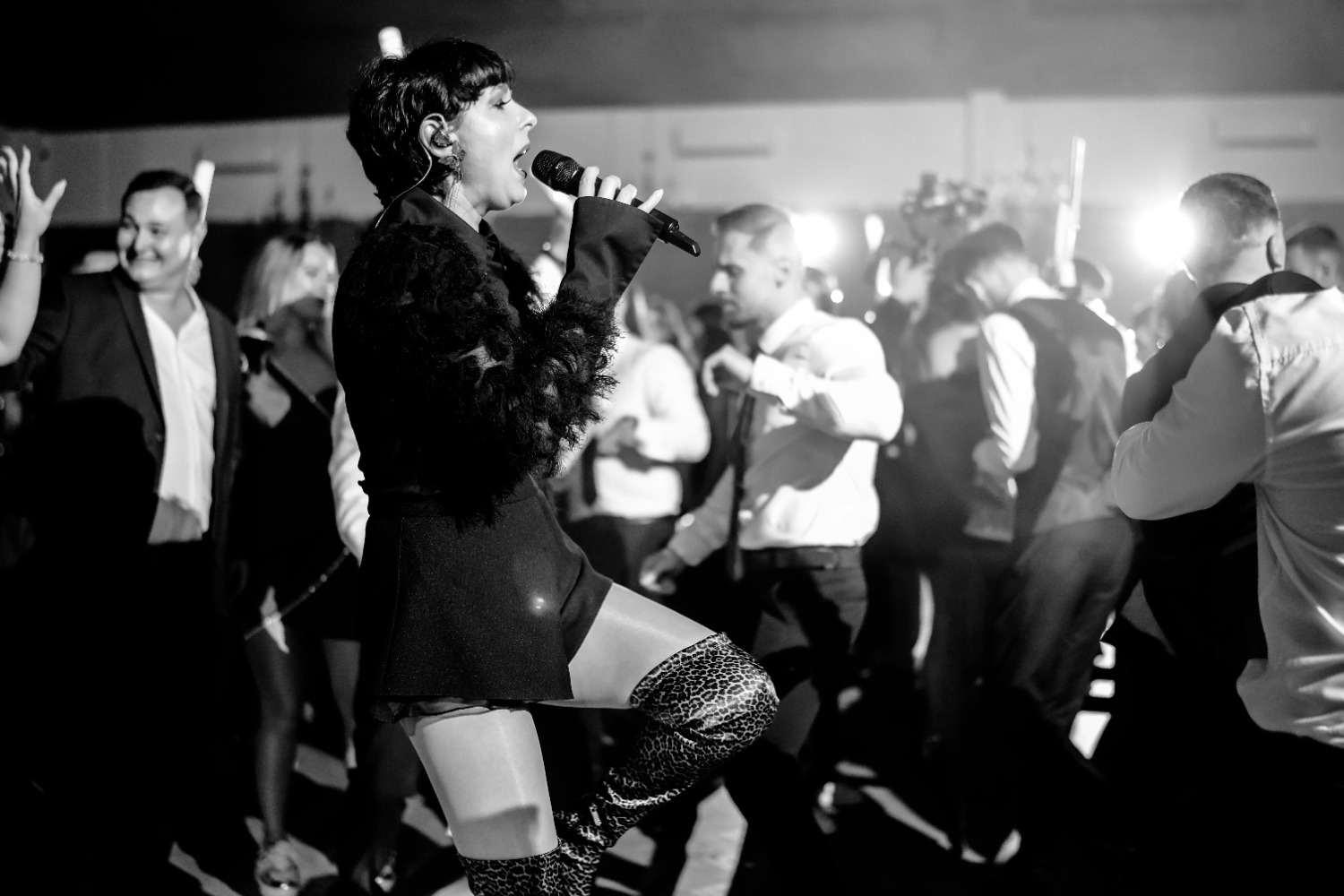 MBBand muzica brasov