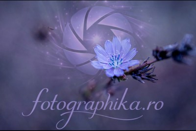 fotographika.ro - Fotografie Bucuresti