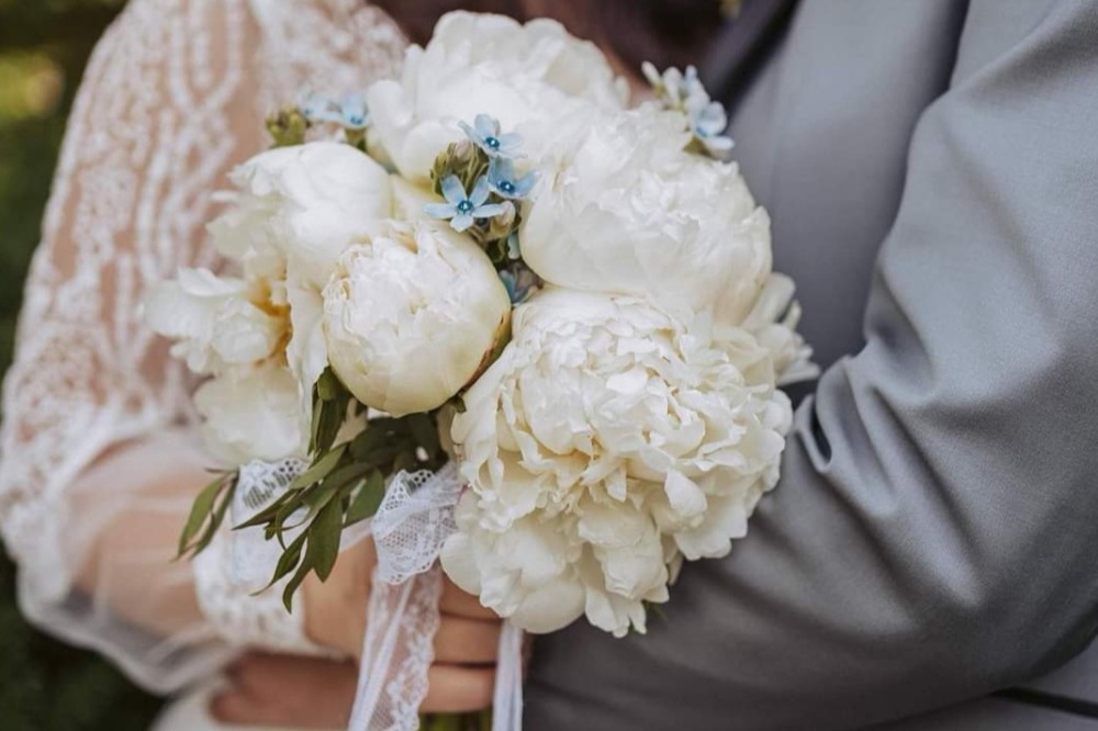 FLORIST Alina Maria Cristea flori cluj