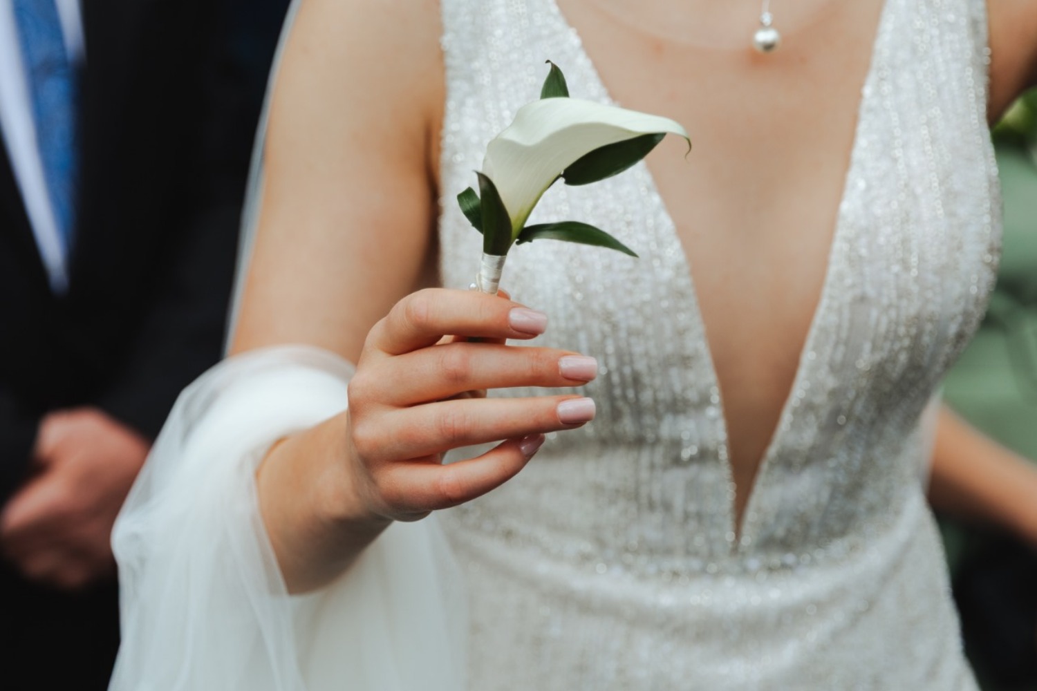 FLORIST Alina Maria Cristea flori cluj