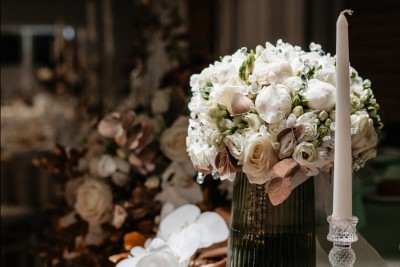 Zinnia Flowers - Flori Braila