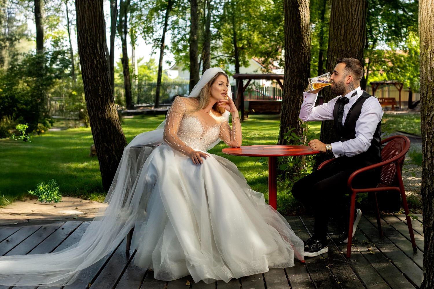 Mediapointphotography S. R. L fotografie gorj