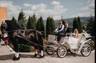 Domeniul Cailor Bucovina - Artiști și spectacole Suceava