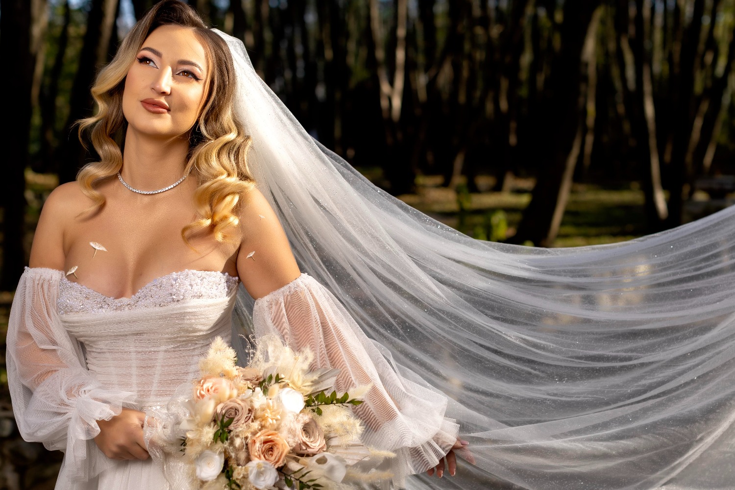 Mediapointphotography S. R. L fotografie gorj