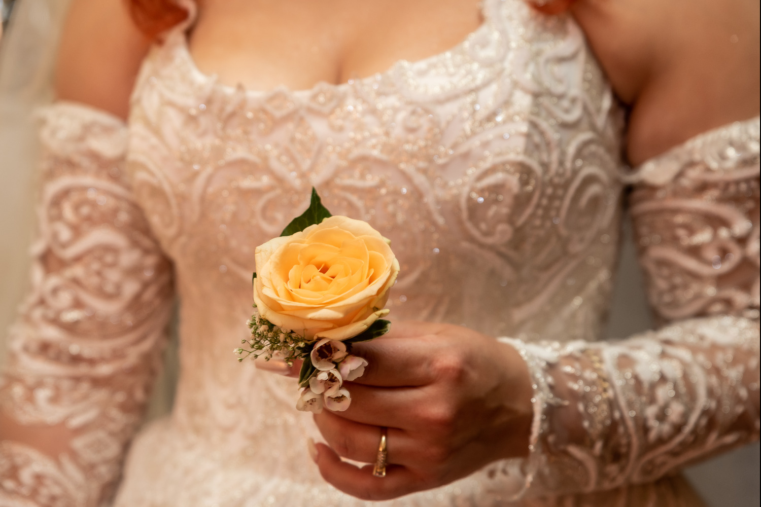 Time to Remember fotografie constanta