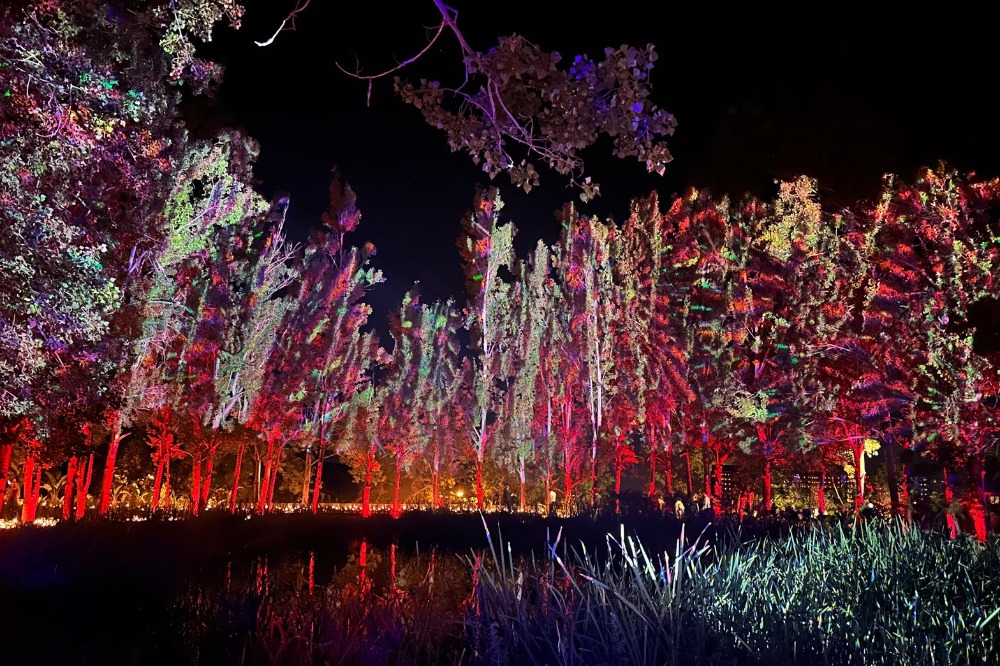 BC Studios experiente-unice bucuresti