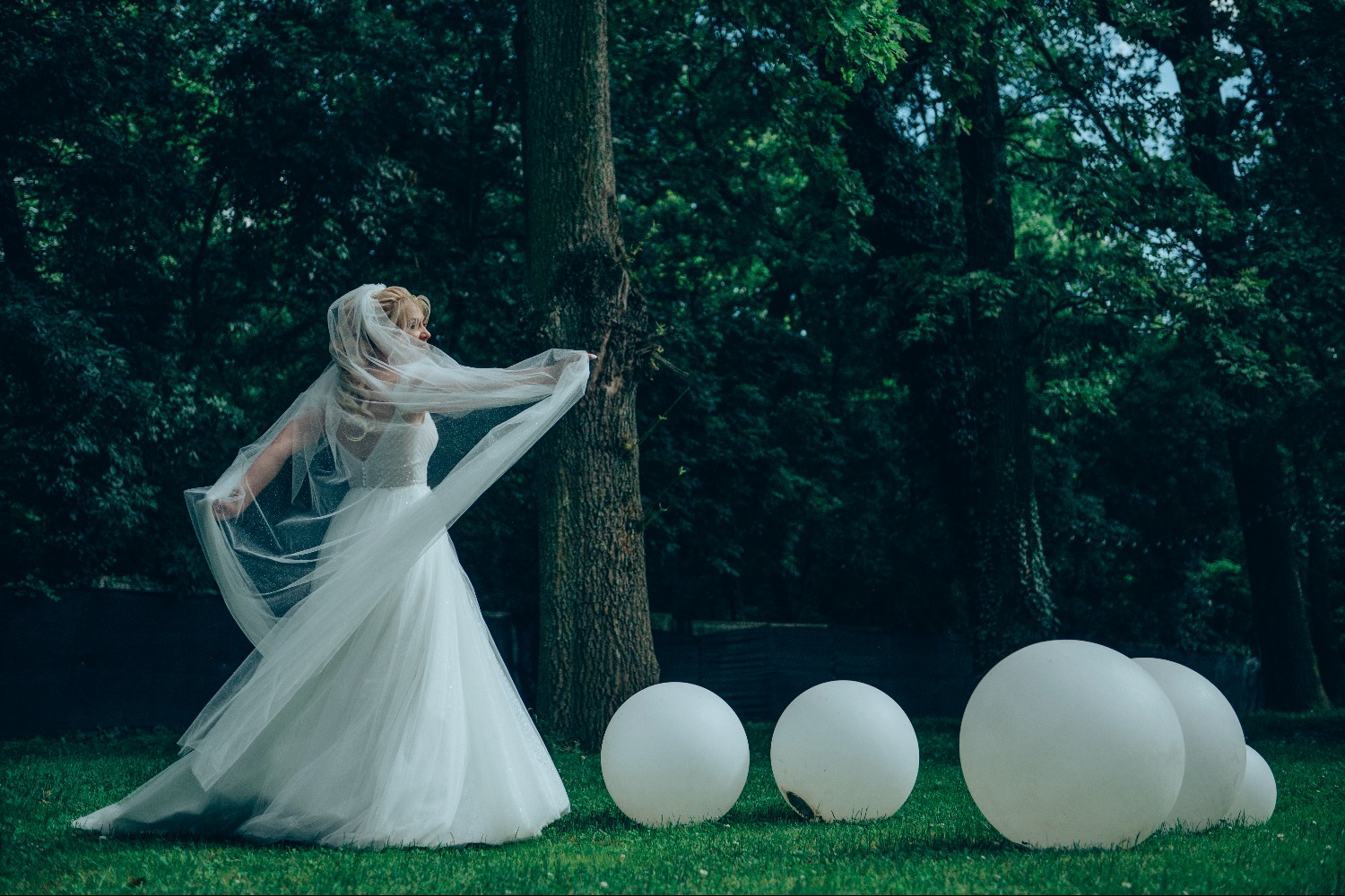 MIRAGE STUDIO S.R.L. fotografie timis