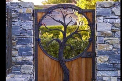 Andrei de la chiajna - Muzică Ilfov