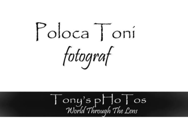 Studio Poloca SRL