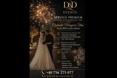 Pfa Dănuț Vlad - Alte servicii Maramures