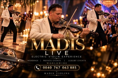 Madis violins - Muzică Ilfov