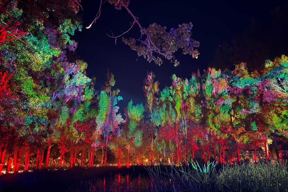 BC Studios experiente-unice bucuresti