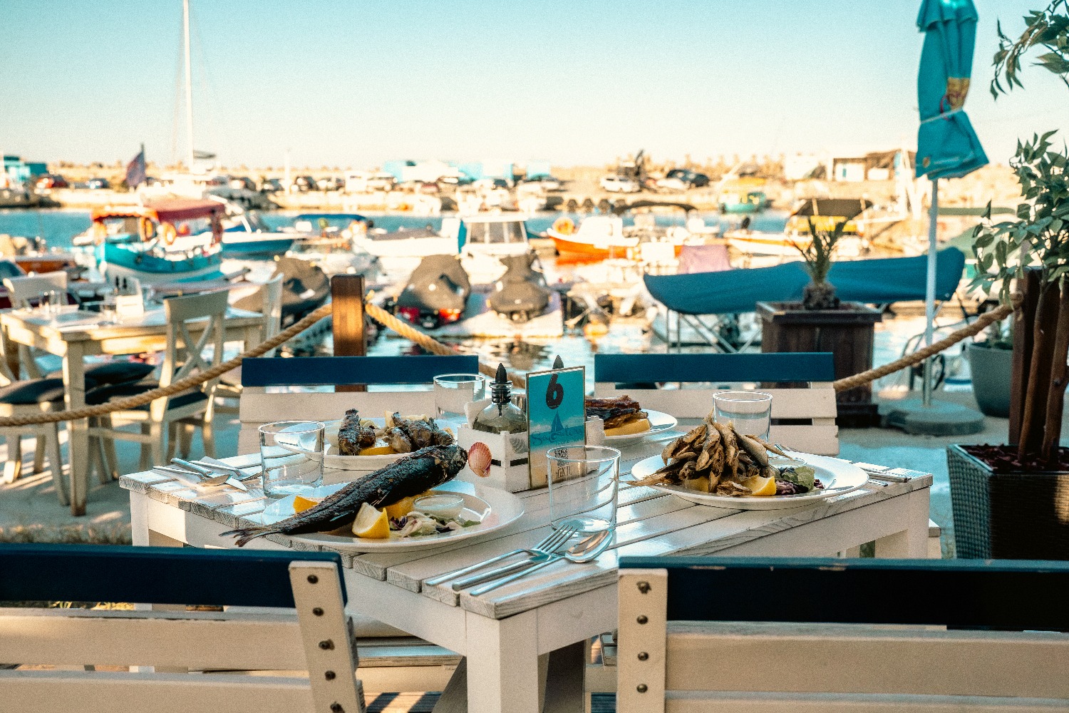 Restaurant Sailors locatii constanta