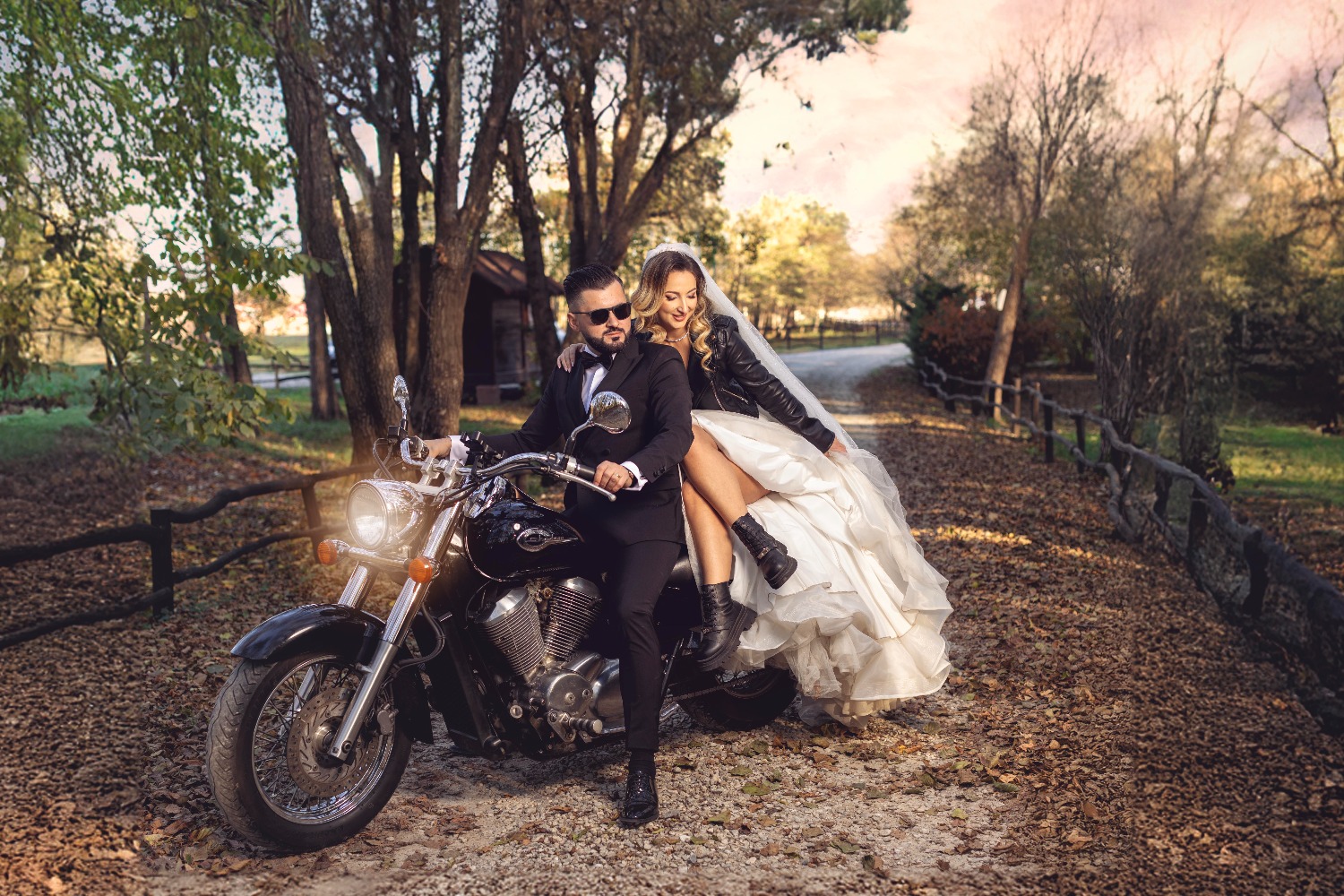 Mediapointphotography S. R. L fotografie gorj