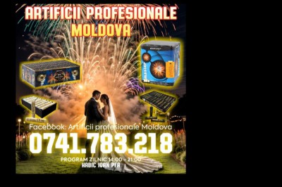 Artificii profesionale Moldova - Alte servicii Neamt