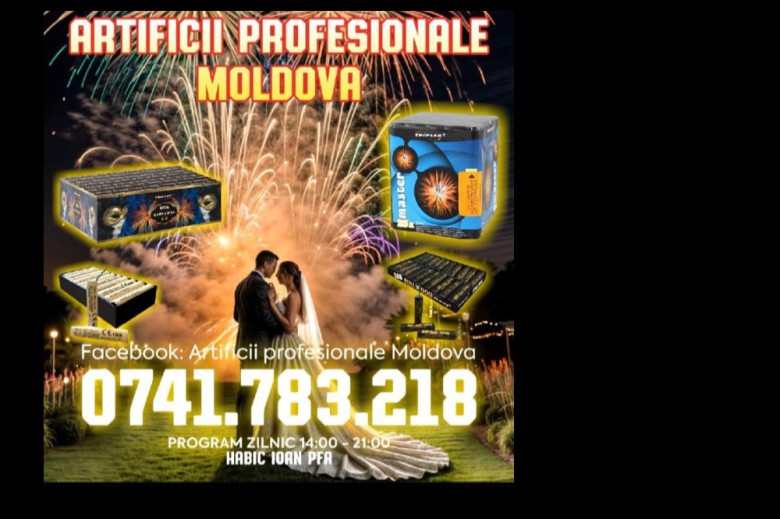 Artificii profesionale Moldova